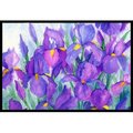 Carolines Treasures Carolines Treasures IBD0256JMAT Purple Iris Indoor or Outdoor Mat; 24 x 36 IBD0256JMAT